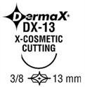 DX13