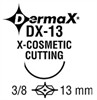DX13