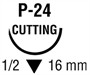 P24